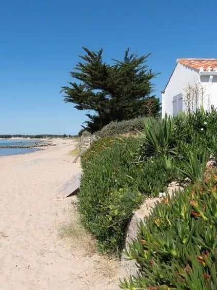 Port de Saint-Gilles-Croix-de-Vie